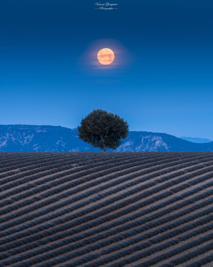 Ph73-La pleine lune des loups.