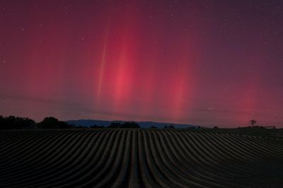 Ph20- Quand les majestueuses éphémères honnorent les majestueuses immobiles.
