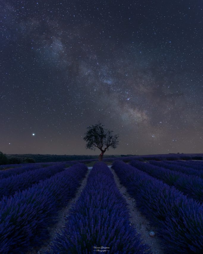 PH31-Les étoiles murmurent aux lavandes qu'un amandier sommeille.